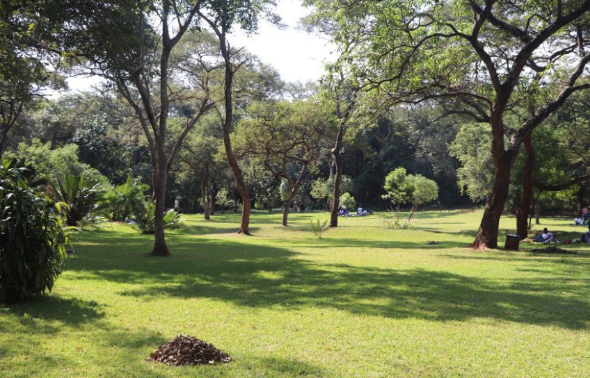 Thohoyandou Botanical Garden, South Africa